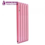 散熱器十大品牌哪家好:使節(jié)能發(fā)揮到極致！